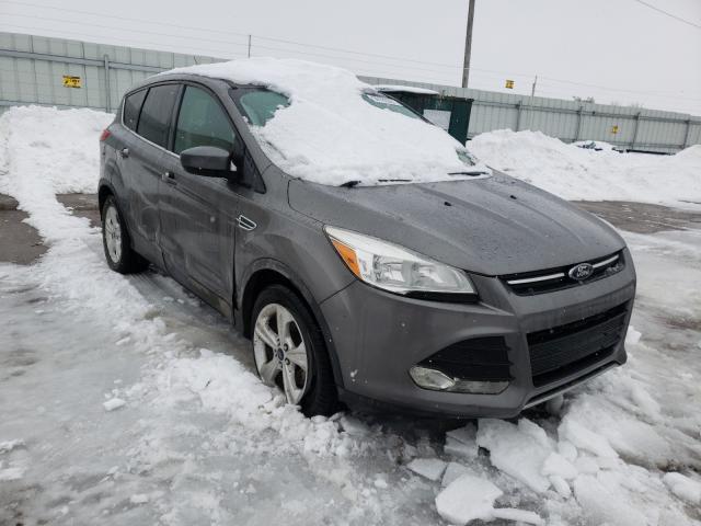 Photo 0 VIN: 1FMCU0GX8EUD64439 - FORD ESCAPE SE 