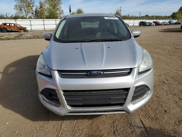 Photo 4 VIN: 1FMCU0GX8EUD83699 - FORD ESCAPE SE 