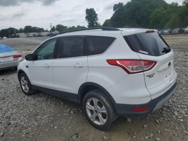 Photo 1 VIN: 1FMCU0GX8EUE22694 - FORD ESCAPE 