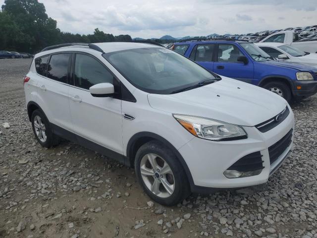 Photo 3 VIN: 1FMCU0GX8EUE22694 - FORD ESCAPE 