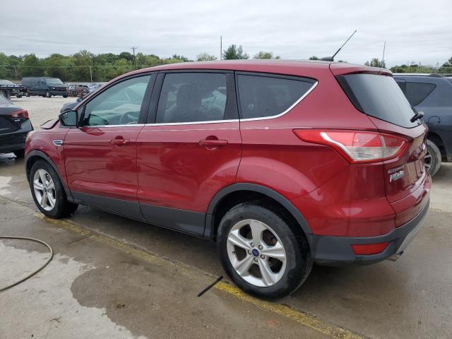 Photo 1 VIN: 1FMCU0GX8EUE37146 - FORD ESCAPE SE 