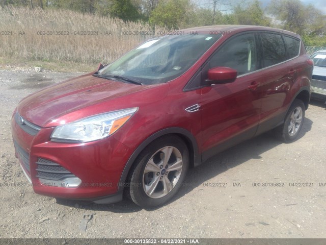 Photo 1 VIN: 1FMCU0GX8EUE47823 - FORD ESCAPE 