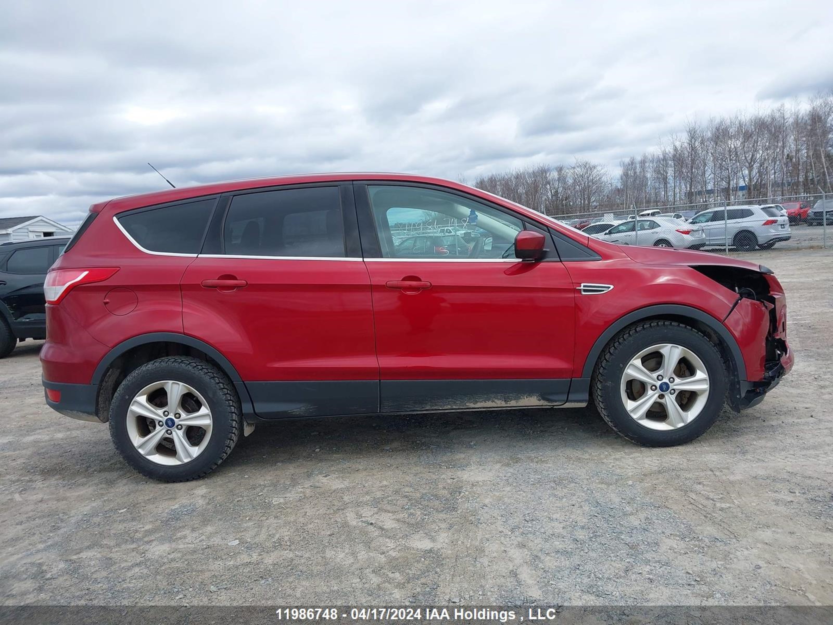 Photo 13 VIN: 1FMCU0GX8FUA33667 - FORD ESCAPE 