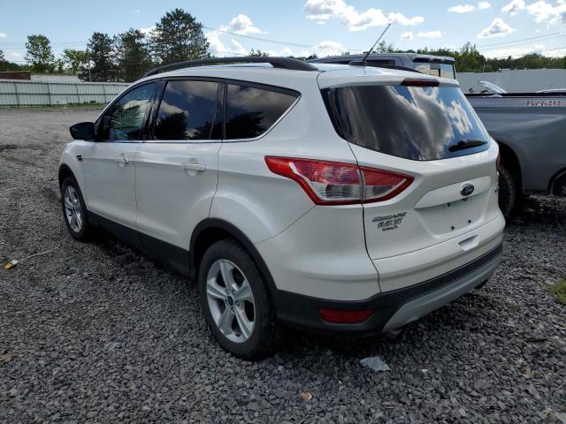 Photo 2 VIN: 1FMCU0GX8GUA91747 - FORD ESCAPE SE 