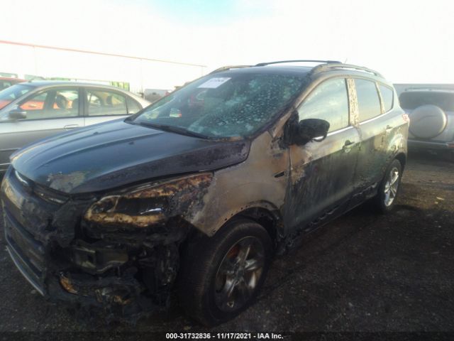 Photo 5 VIN: 1FMCU0GX9DUC46866 - FORD ESCAPE 