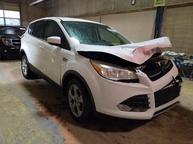 Photo 0 VIN: 1FMCU0GX9DUC82444 - FORD ESCAPE SE 