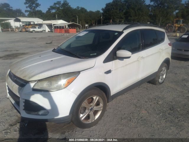 Photo 1 VIN: 1FMCU0GX9DUD24935 - FORD ESCAPE 