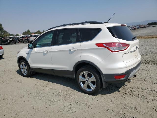 Photo 1 VIN: 1FMCU0GX9DUD27351 - FORD ESCAPE SE 