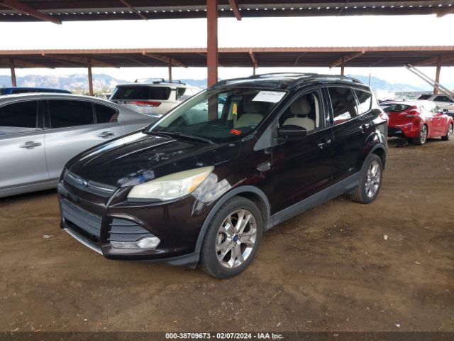 Photo 1 VIN: 1FMCU0GX9DUD54839 - FORD ESCAPE 