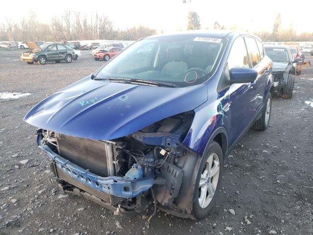 Photo 1 VIN: 1FMCU0GX9DUD55490 - FORD ESCAPE SE 