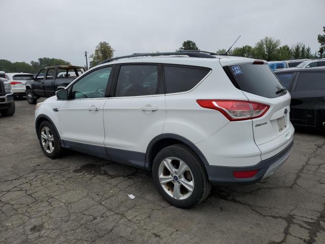 Photo 1 VIN: 1FMCU0GX9DUD70443 - FORD ESCAPE 