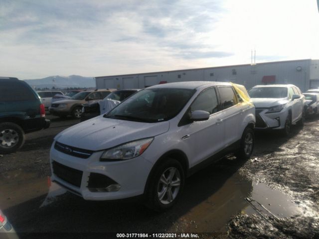 Photo 1 VIN: 1FMCU0GX9DUD70667 - FORD ESCAPE 