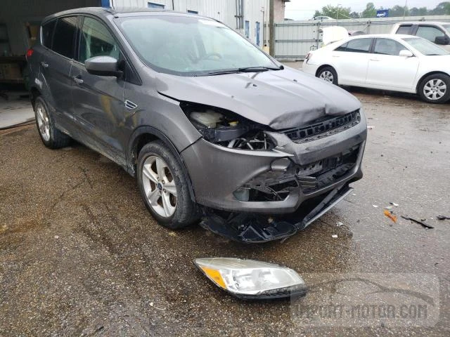 Photo 12 VIN: 1FMCU0GX9EUA19131 - FORD ESCAPE 