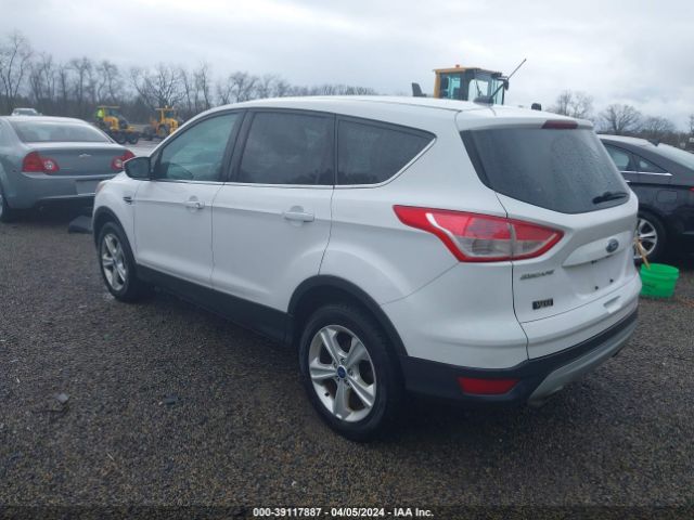 Photo 2 VIN: 1FMCU0GX9EUA90944 - FORD ESCAPE 