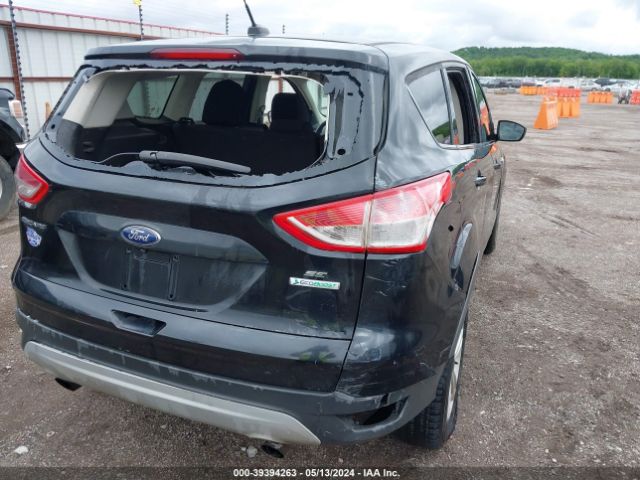 Photo 5 VIN: 1FMCU0GX9EUA91639 - FORD ESCAPE 