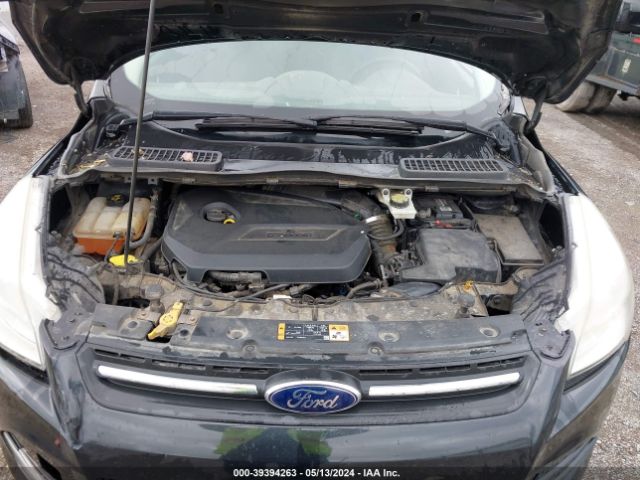 Photo 9 VIN: 1FMCU0GX9EUA91639 - FORD ESCAPE 