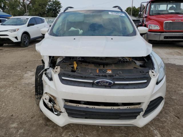 Photo 4 VIN: 1FMCU0GX9EUA92631 - FORD ESCAPE SE 