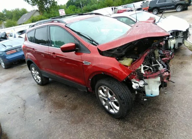 Photo 0 VIN: 1FMCU0GX9EUA99899 - FORD ESCAPE 