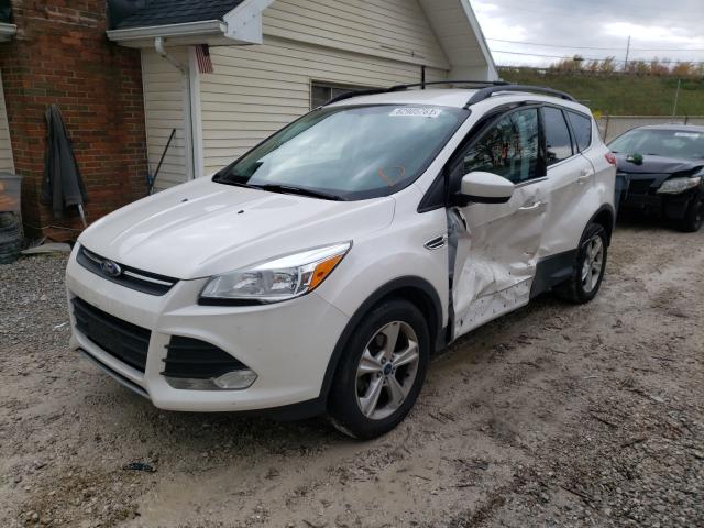 Photo 1 VIN: 1FMCU0GX9EUB13641 - FORD ESCAPE 