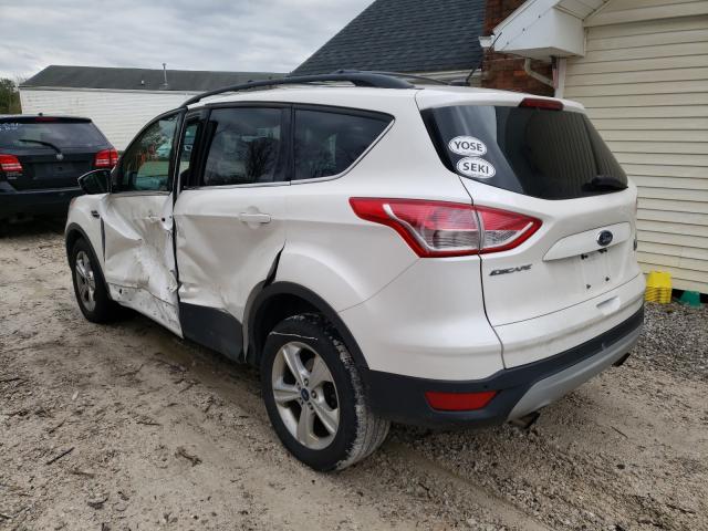 Photo 2 VIN: 1FMCU0GX9EUB13641 - FORD ESCAPE 