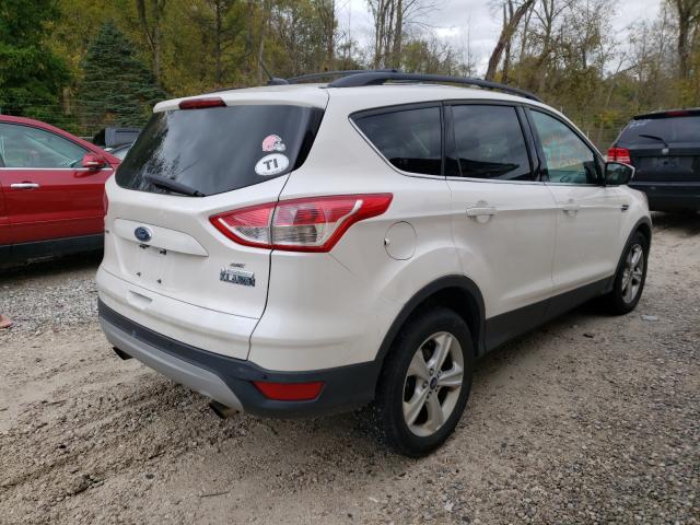 Photo 3 VIN: 1FMCU0GX9EUB13641 - FORD ESCAPE 