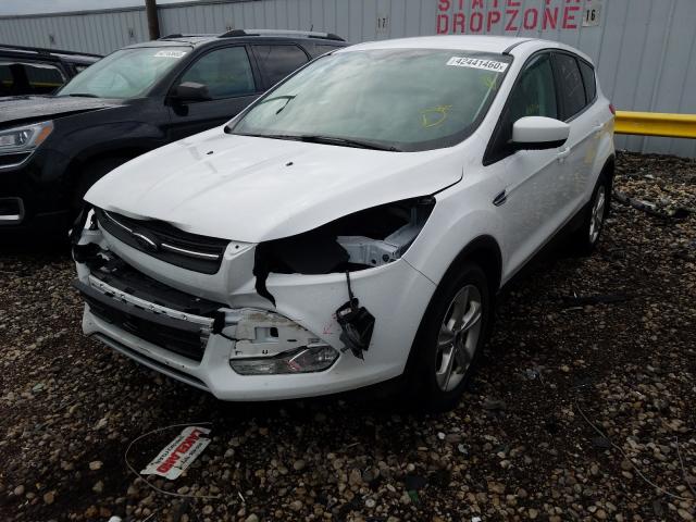 Photo 1 VIN: 1FMCU0GX9EUB24557 - FORD ESCAPE SE 