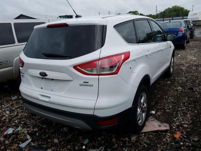 Photo 3 VIN: 1FMCU0GX9EUB24557 - FORD ESCAPE SE 