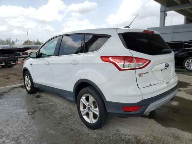 Photo 1 VIN: 1FMCU0GX9EUC00391 - FORD ESCAPE 