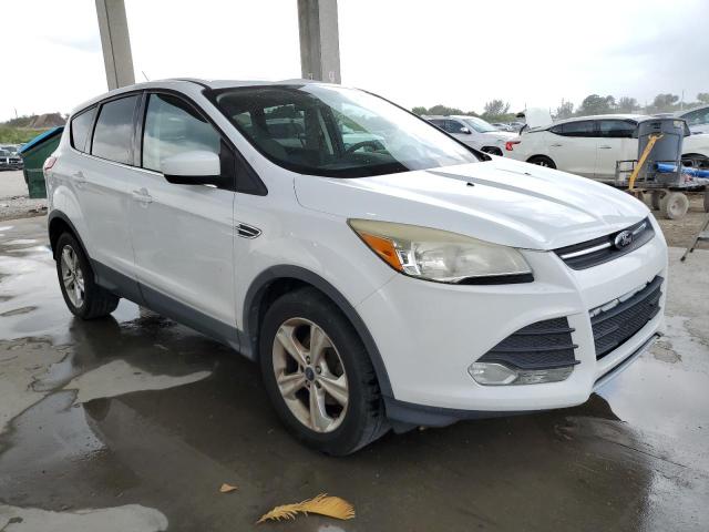 Photo 3 VIN: 1FMCU0GX9EUC00391 - FORD ESCAPE 