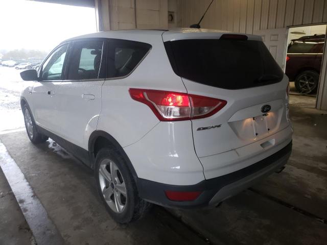 Photo 2 VIN: 1FMCU0GX9EUC02755 - FORD ESCAPE 