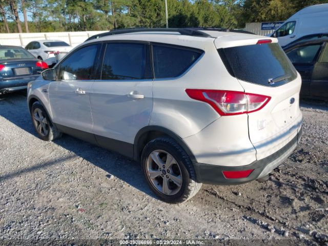 Photo 2 VIN: 1FMCU0GX9EUC16235 - FORD ESCAPE 