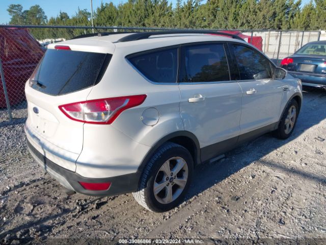 Photo 3 VIN: 1FMCU0GX9EUC16235 - FORD ESCAPE 