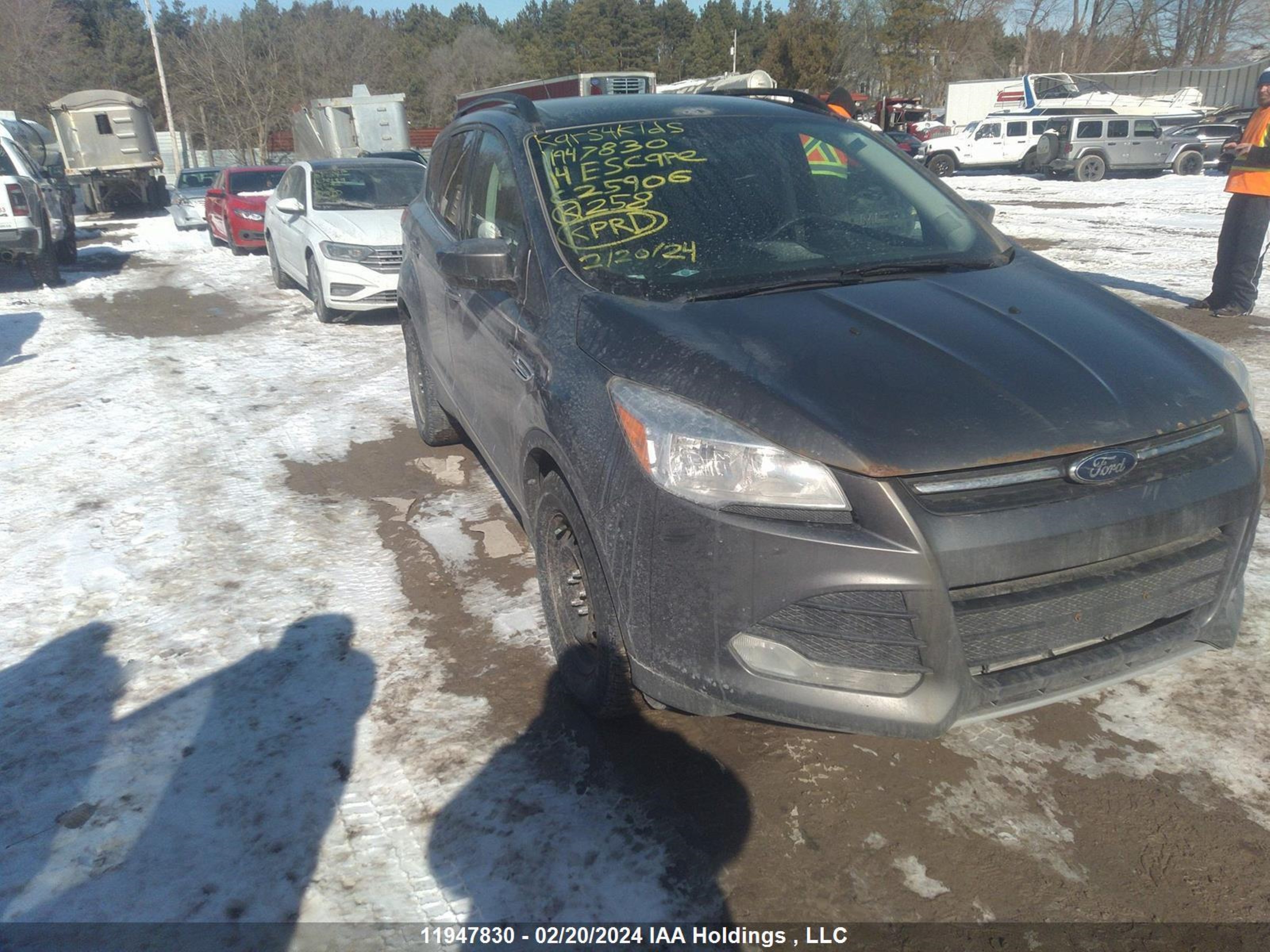 Photo 0 VIN: 1FMCU0GX9EUC25906 - FORD ESCAPE 