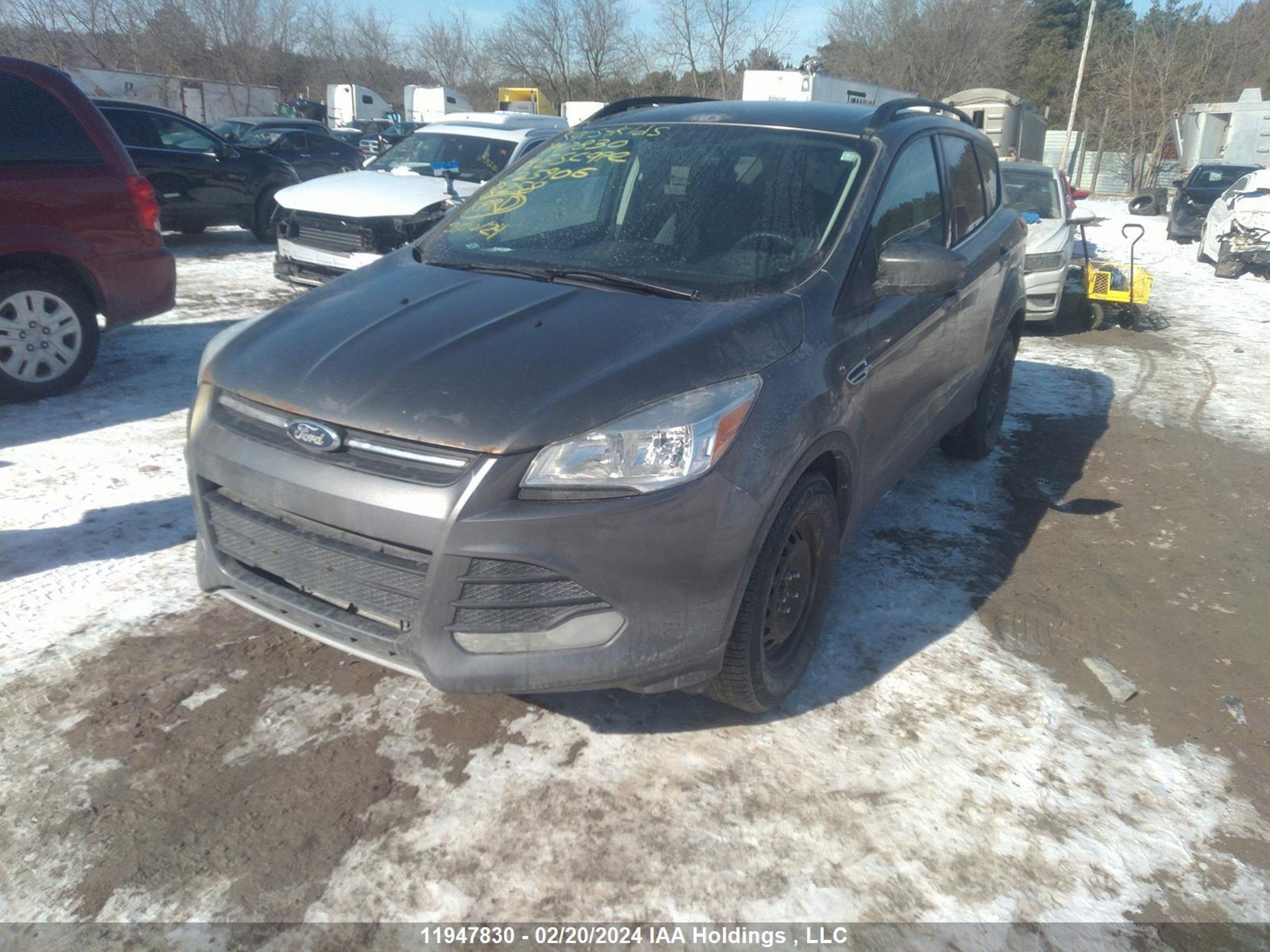 Photo 1 VIN: 1FMCU0GX9EUC25906 - FORD ESCAPE 