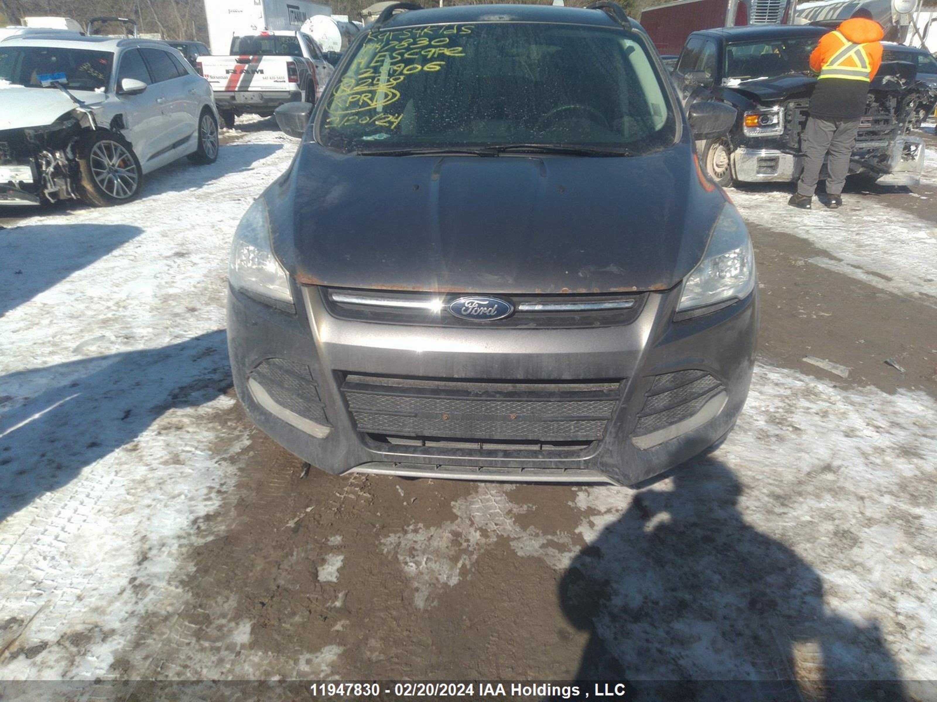 Photo 11 VIN: 1FMCU0GX9EUC25906 - FORD ESCAPE 