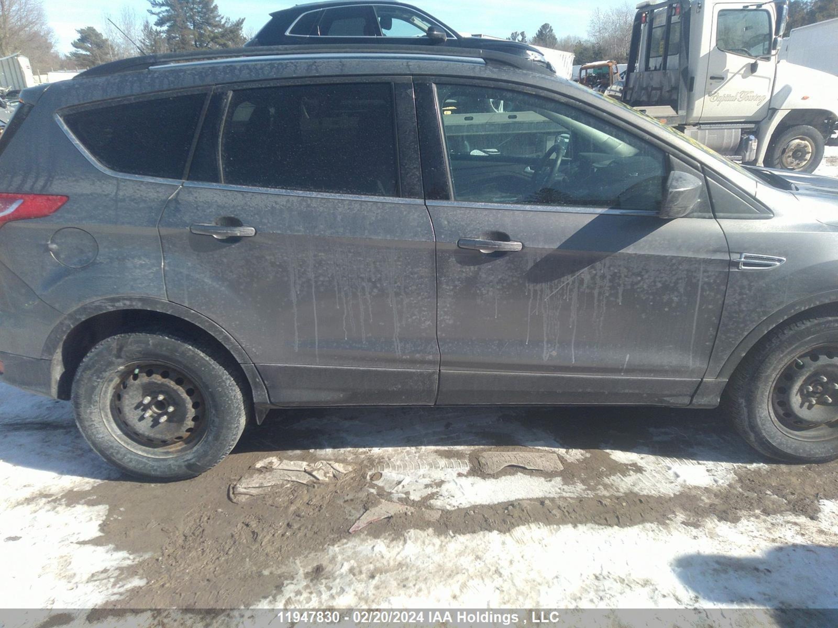 Photo 12 VIN: 1FMCU0GX9EUC25906 - FORD ESCAPE 