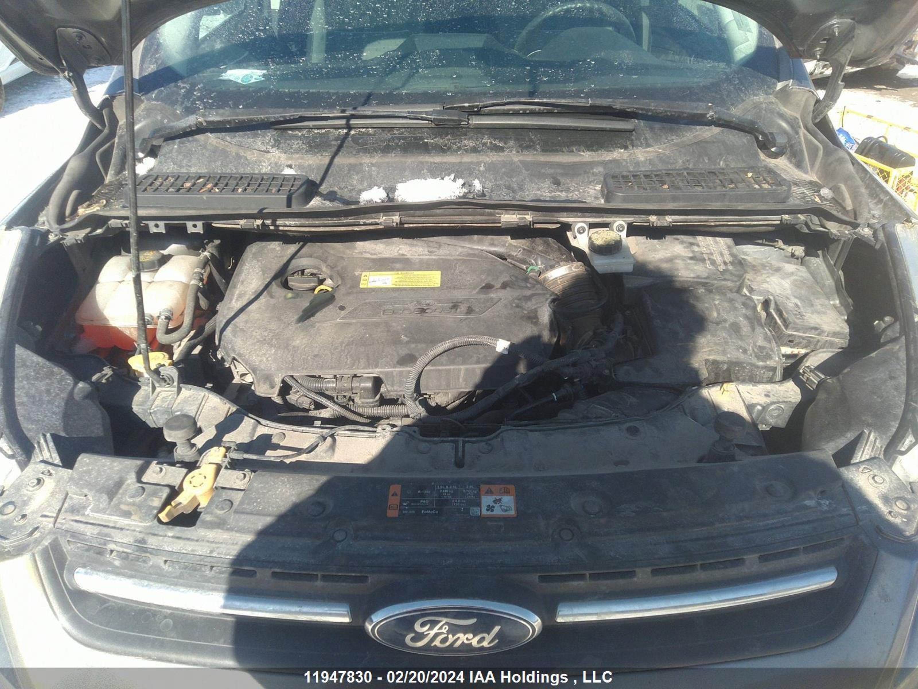 Photo 9 VIN: 1FMCU0GX9EUC25906 - FORD ESCAPE 