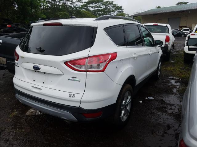 Photo 3 VIN: 1FMCU0GX9EUC32015 - FORD ESCAPE SE 