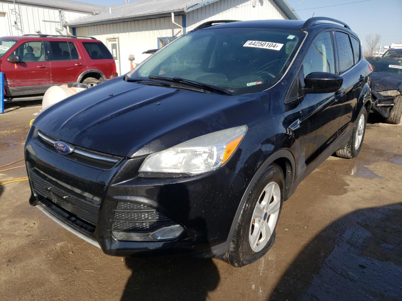 Photo 0 VIN: 1FMCU0GX9EUC81554 - FORD ESCAPE 