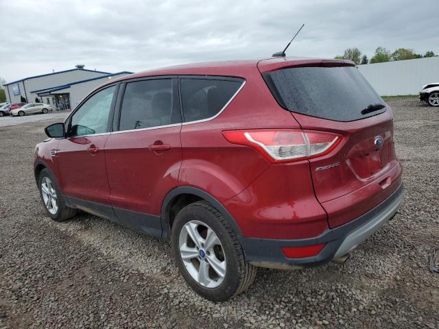 Photo 1 VIN: 1FMCU0GX9EUC99021 - FORD ESCAPE 