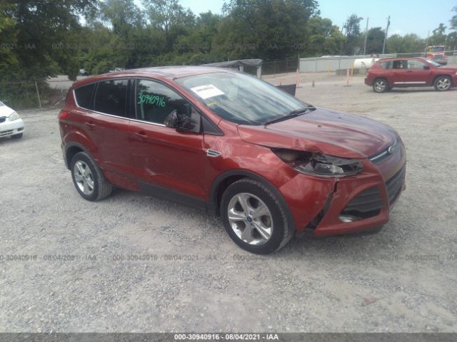 Photo 0 VIN: 1FMCU0GX9EUD66975 - FORD ESCAPE 