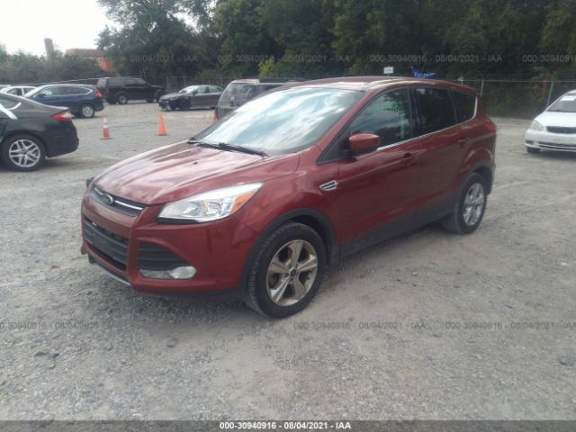 Photo 1 VIN: 1FMCU0GX9EUD66975 - FORD ESCAPE 