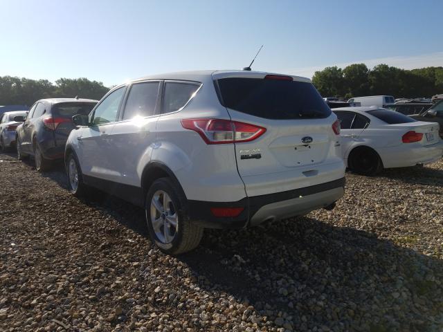 Photo 2 VIN: 1FMCU0GX9EUE50469 - FORD ESCAPE SE 