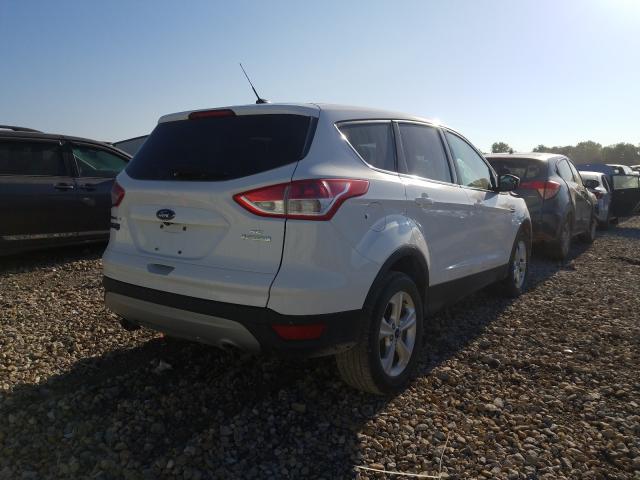 Photo 3 VIN: 1FMCU0GX9EUE50469 - FORD ESCAPE SE 