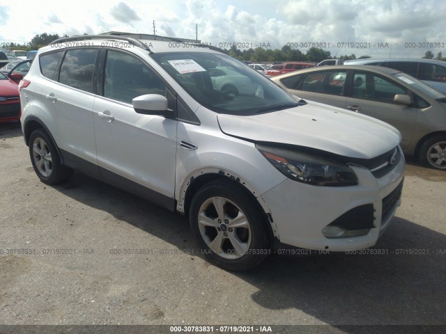 Photo 0 VIN: 1FMCU0GXXDUA33036 - FORD ESCAPE 