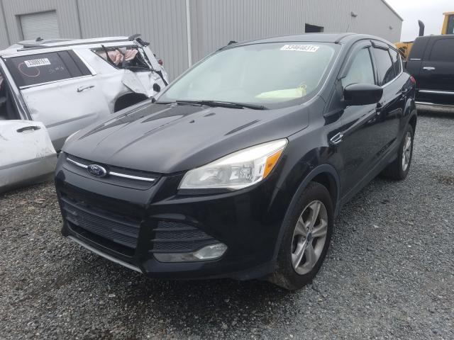 Photo 1 VIN: 1FMCU0GXXDUA95083 - FORD ESCAPE 