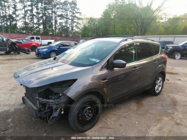 Photo 1 VIN: 1FMCU0GXXDUB95426 - FORD ESCAPE 