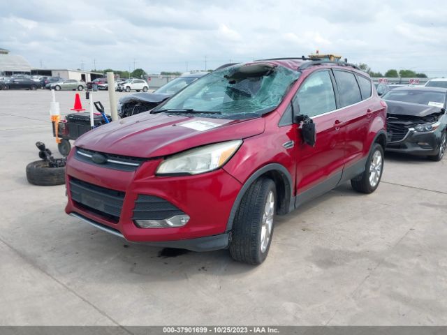 Photo 1 VIN: 1FMCU0GXXDUC61439 - FORD ESCAPE 