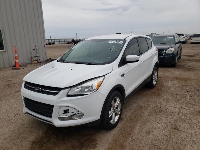 Photo 1 VIN: 1FMCU0GXXDUC85675 - FORD ESCAPE SE 