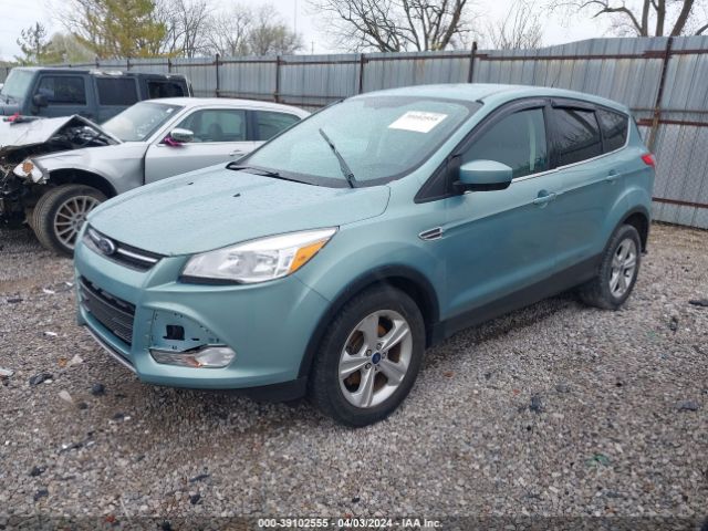 Photo 1 VIN: 1FMCU0GXXDUD08758 - FORD ESCAPE 